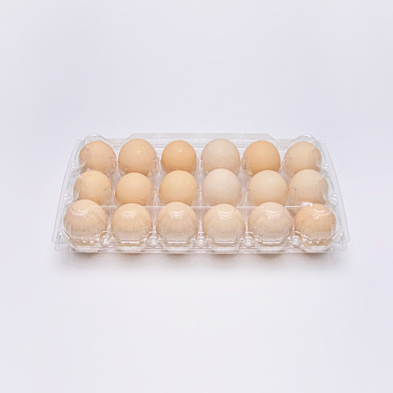 Упаковка яичного блистера
